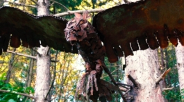 eagle cropped2
